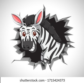 Cute zebra coming out of cracked wall illustration