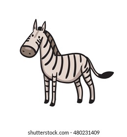  cute zebra. funny cartoon animals. vector illustration