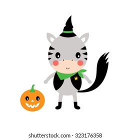 cute zebra with halloween pumpkin