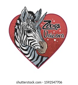 cute zebra lovely unicorn illustration