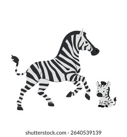 Cute zebra mother and baby, African wild animals, flat vector illustration, hand drawn cartoon safari family, isolated on white background, simple wildlife design for children. Vector illustration