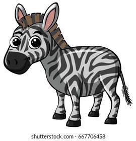 Cute zebra on white background illustration