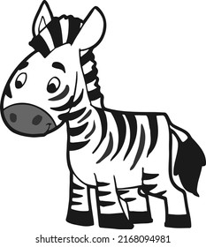 Cute zebra posing isolated on white background
