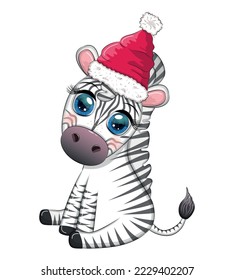 Cute zebra in red santa hat with christmas ball, candy kane, gift. Wildlife holidays cartoon character.