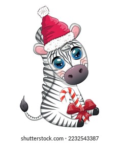 Cute zebra in red santa hat with christmas ball, candy kane, gift. Wildlife holidays cartoon character.