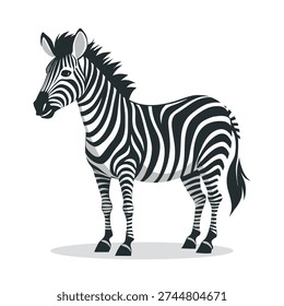 Cute zebra standing. Zebra isolated on white background. Illustration.