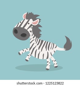Cute  zebra vector cartoon