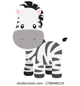 Cute Zebra Vector Illustration on White