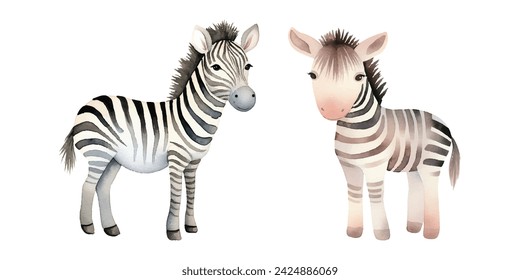 cute zebra watercolor vector illustration