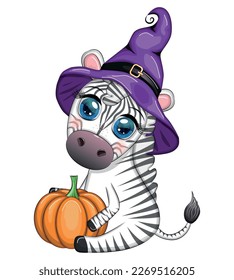 Cute zebra in witch hat, with broom, pumpkin jack, magic potion. Poster, card, label and decoration for Halloween party. Trick or Treat