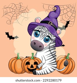Cute zebra in witch hat, with broom, pumpkin jack, magic potion. Poster, card, label and decoration for Halloween party. Trick or Treat