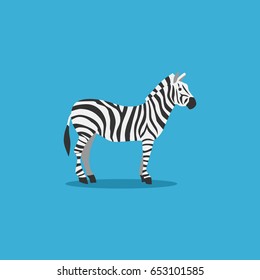 cute zebra.colorful illustration