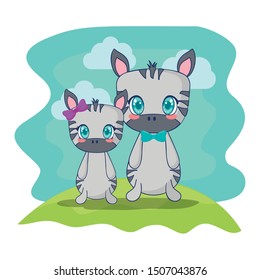 cute zebras couple characters vector illustration