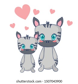 cute zebras couple characters vector illustration