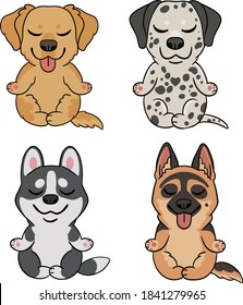 Cute Zen Colored Dog Breeds