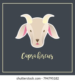 Cute Zodiac Capra Hircus