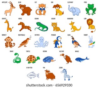 Cute Zoo alphabet with cartoon animals from A to Z vector illustration isolated on background, Education for children, preschool, ABC poster for learn to read, character design funny cat, antelope etc