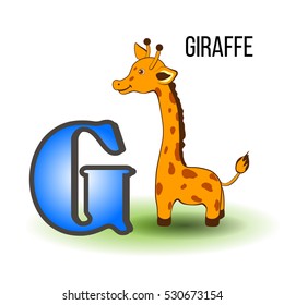 Cute Zoo alphabet G with cartoon giraffe, wild african kid animal vector illustration isolated on background, Education for children, preschool, ABC poster for learn to read, character design, mascot