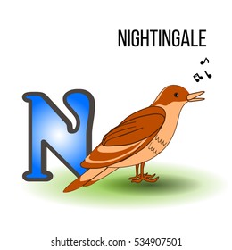 Cute Zoo alphabet N with cartoon nightingale, bird kid animal vector funny illustration isolated on backdrop, Education for children, preschool, ABC poster for learn to read, character design, mascot