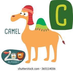 Cute zoo alphabet in vector. C letter for Camel Funny cartoon animals. Alphabet design in a colorful style. 