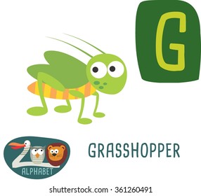 Cute Zoo alphabet in vector. G letter for Grasshopper. funny cartoon animals. alphabet design in a colorful style