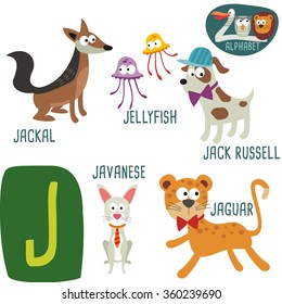 Cute zoo alphabet in vector. J letter. Funny cartoon animals: jackal, jellyfish, jack russell, jaguar. Alphabet design in a colorful style. 
