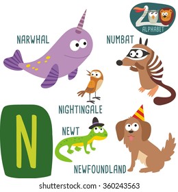 Cute zoo alphabet in vector. N letter. Funny cartoon animals: nightingale, newt, newfoundland, narwhal, numbat. Alphabet design in a colorful style. 