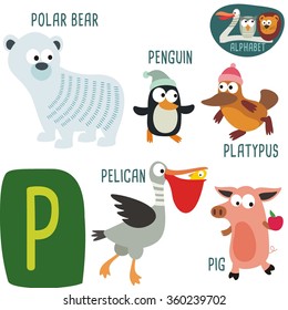 Cute zoo alphabet in vector. P letter. Funny cartoon animals: Polar bear, Penguin, Pelican, Platypus, Pig. Alphabet design in a colorful style. 