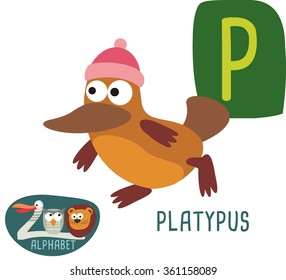 Cute zoo alphabet in vector. P letter for Platypus. Funny cartoon animals. Alphabet design in a colorful style. 