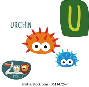 Cute zoo alphabet in vector. U letter for Urchin. Funny cartoon animals. Alphabet design in a colorful style. 