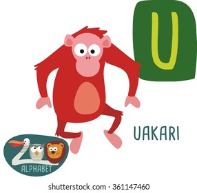 Cute zoo alphabet in vector. U letter for uakari. Funny cartoon animals. Alphabet design in a colorful style. 