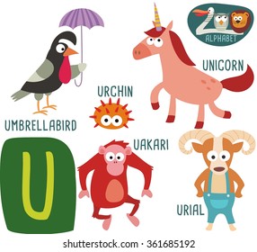 Cute Zoo alphabet in vector. U letter for Umbrella-bird, Unicorn, Urchin, Urial, Uakari. funny cartoon animals. alphabet design in a colorful style