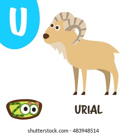 Cute zoo alphabet in vector. U for Urial
