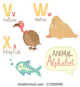 Cute zoo alphabet in vector. V, w, x letters. Funny animals. Vulture, walrus, X-ray fish. Vector illustration for children's education.