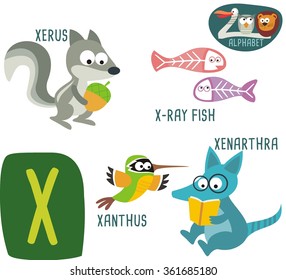 Cute Zoo alphabet in vector. X letter for Xanthus, Xenarthra, Xerus, X-Ray Fish. funny cartoon animals. alphabet design in a colorful style