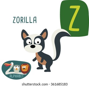 Cute Zoo alphabet in vector. Z letter for Zorilla. funny cartoon animals. alphabet design in a colorful style