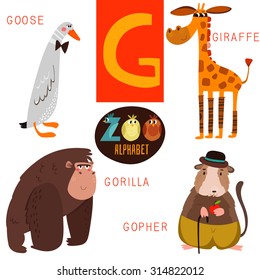 Cute zoo alphabet in vector.G letter. Funny cartoon animals:Goose,giraffe,gorilla,gopher. Alphabet design in a colorful style.
