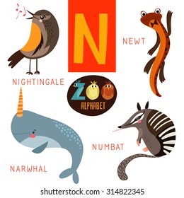 Cute zoo alphabet in vector.N letter. Funny cartoon animals:Nightingale,newt,narwhal,numbat. Alphabet design in a colorful style.
