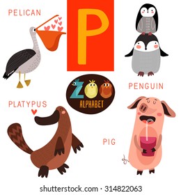 Cute zoo alphabet in vector.P  letter. Funny cartoon animals:Pelican,penguin,platypus,pig. Alphabet design in a colorful style.
