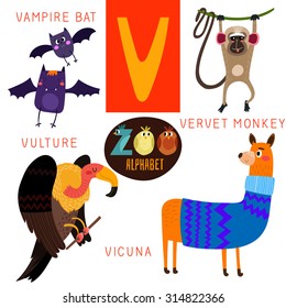 Cute zoo alphabet in vector.V letter. Funny cartoon animals:Vampire bat,vervet monkey,vulture,vicuna. Alphabet design in a colorful style.
