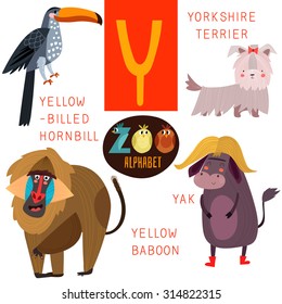 Cute zoo alphabet in vector.Y letter. Funny cartoon animals:Yellow-billed hornbill,yorkshire terrier,yak,yellow baboon. Alphabet design in a colorful style.
