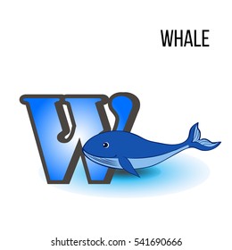 Cute Zoo alphabet W with cartoon blue whale, kid wild animal vector funny illustration isolated on background, Education for children, preschool, ABC poster for learn to read, character design, mascot