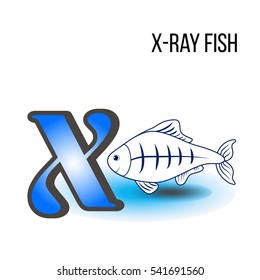 Cute Zoo Alphabet X With Cartoon Xray-fish, Kid Wild Animal Vector Funny Illustration Isolated On Background, Education For Children, Preschool, ABC Poster For Learn To Read, Character Design, Mascot