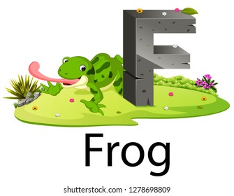 cute zoo animal alphabet F for frog with real animal