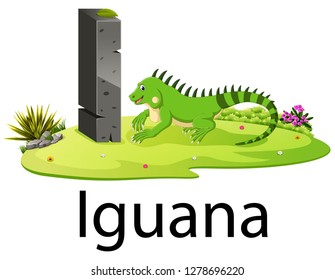 cute zoo animal alphabet I for Iguana with real animal