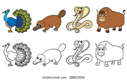 Cute zoo animals collection. Coloring book. Vector illustration.