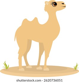 Zoológico bonito. Animais vetores. O camelo está de pé. Coleção vetorial de animais. Isolado