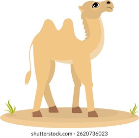Cute zoo. Vector animals. A proud camel walks on the sand. Vector collection of animals. Isolated