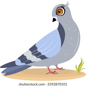 Cute zoo. Vector birds. A cute dove stands on the sand. Vector animals collection. Children's flat vector illustrations. 