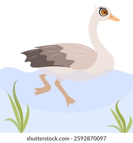 Cute zoo. Vector birds. A cute goose is swimming in the water. Vector animals collection. Children's flat vector illustrations.